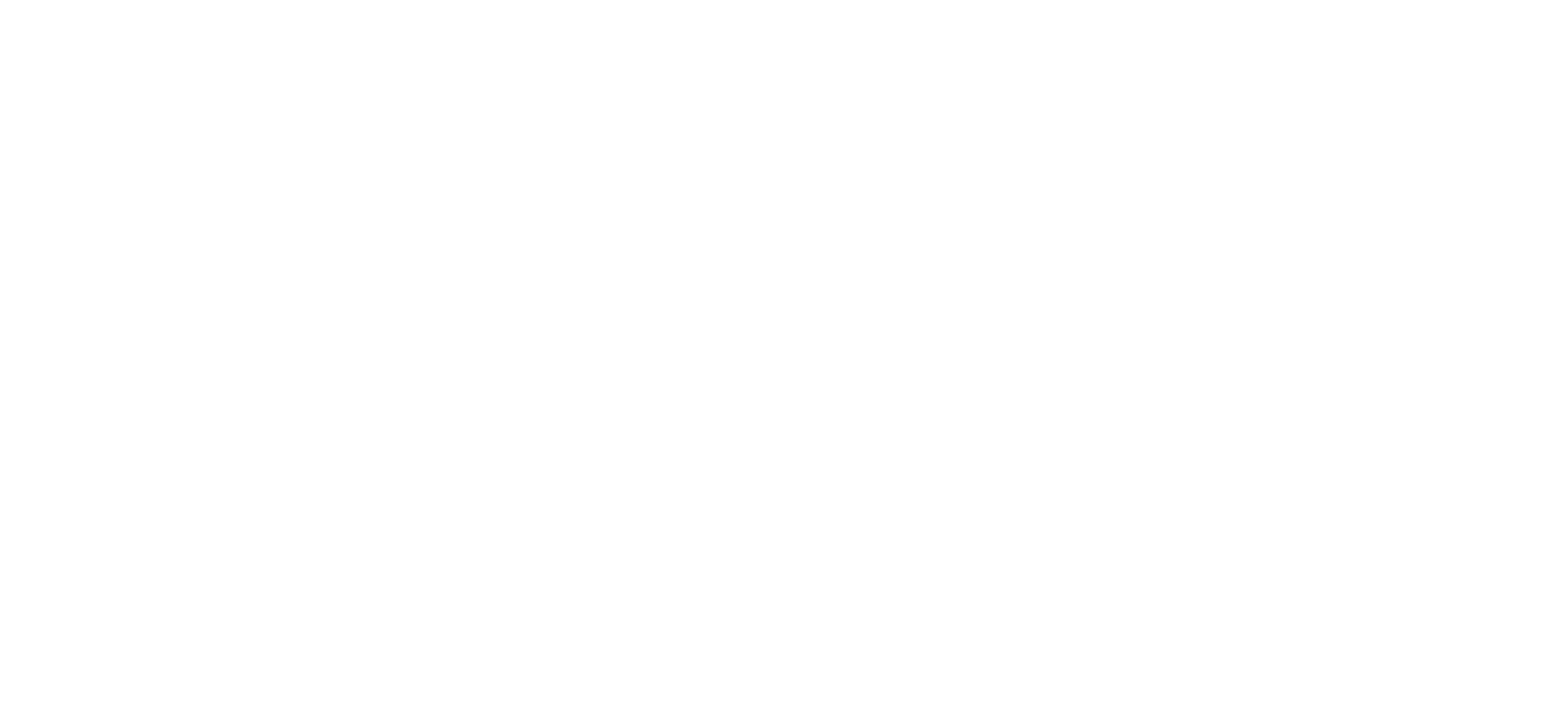 Logo Wilhelm Schetter GmbH